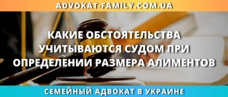 Какие обстоятельства учитываются судом при определении размера алиментов в Украине и помощь семейного адвоката