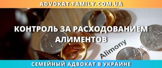 Контроль за расходованием алиментов