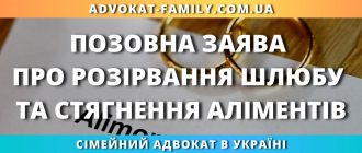 Позовна заява про розірвання шлюбу та стягнення аліментів