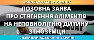 Позовна заява про стягнення аліментів на неповнолітню дитину з іноземця