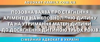 Позовна заява про стягнення аліментів на неповнолітню дитину та на утримання матері дитини до досягнення дитиною трьох років