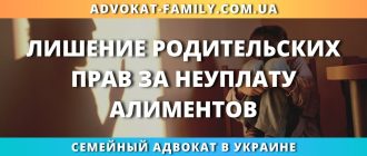 лишение родительских прав за неуплату алиментов в Украине основания порядок обращения в суд и помощь семейного адвоката