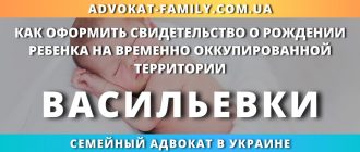 kak-oformit-svidetelstvo-rozhdenii-rebenka-vremenno-okkupirovannoj-territorii-vasilevki